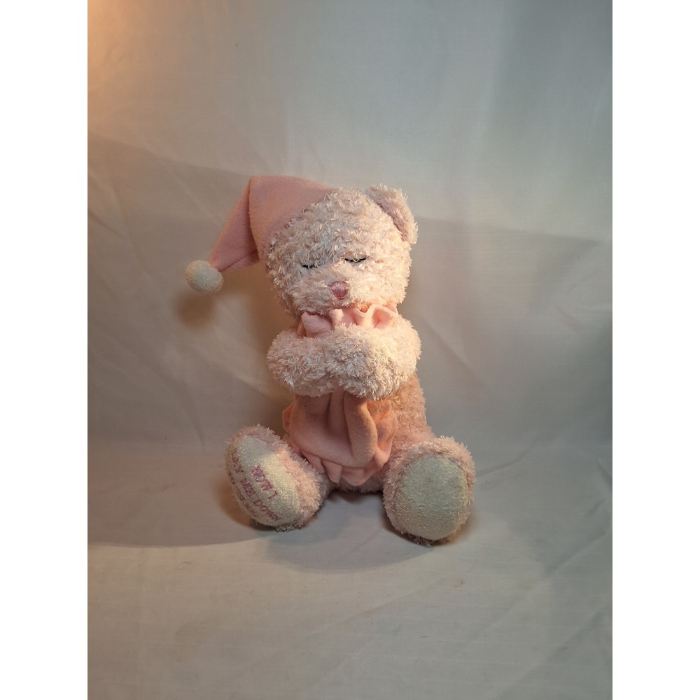 Pink Praying Teddy Bear Now I Lay Me Down To Sleep Plush Bedtime Nightcap